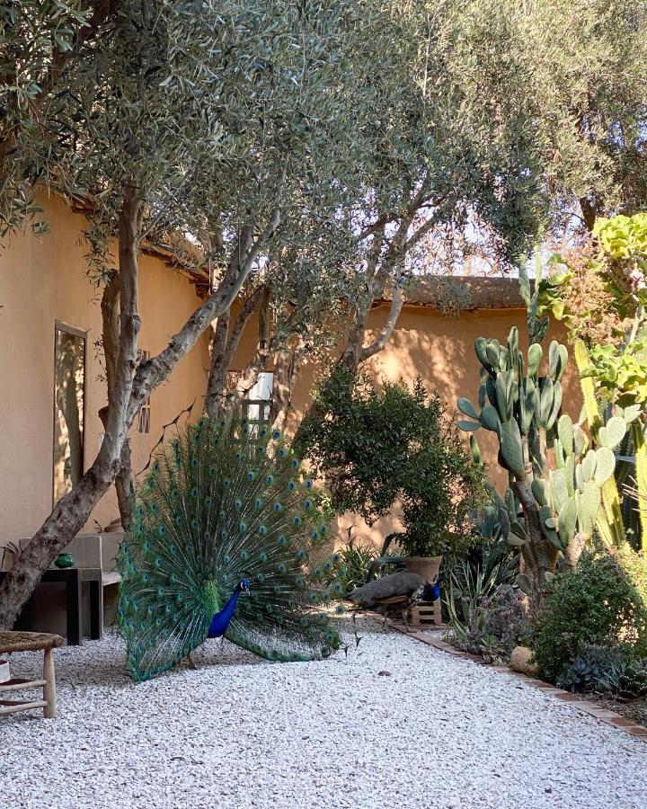 Dar Al Hossoun Hotell Taroudant Eksteriør bilde